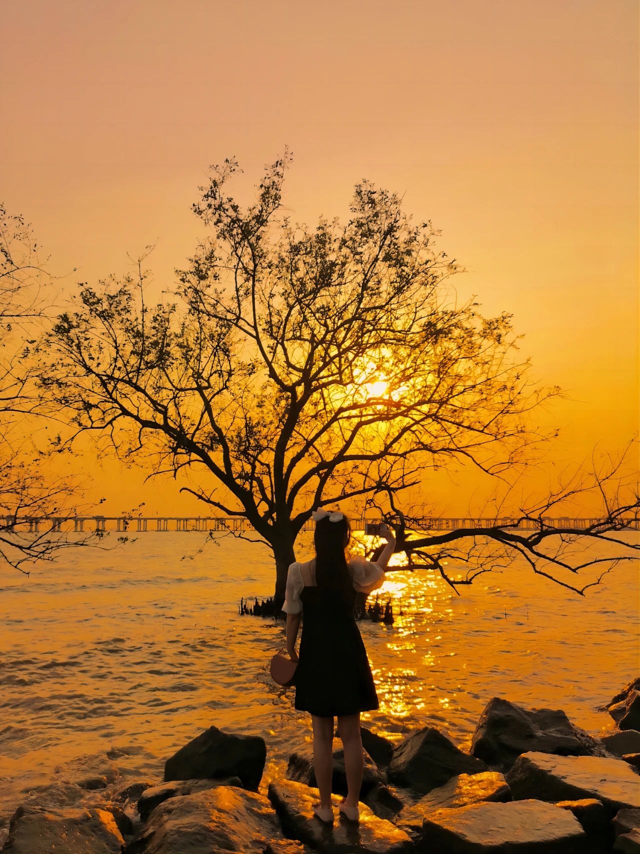 go to Xiban Mangrove to see the sunset on the sea.